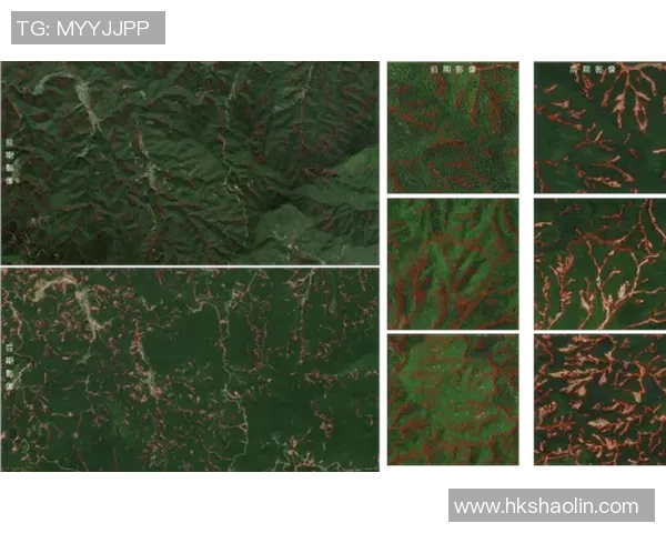 卫星图像分析技术助力赛场数据精准获取与应用