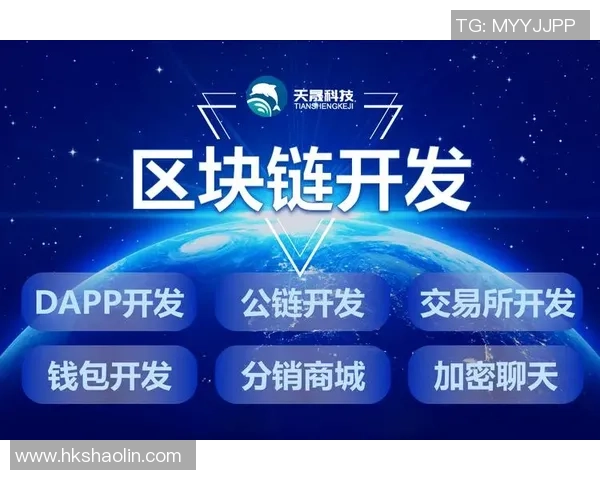 区块链技术如何在透明度与匿名性之间实现有效平衡的探讨